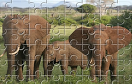 非洲大象拼圖遊戲 / 非洲大象拼圖 Game