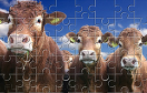 華麗的奶牛拼圖遊戲 / 華麗的奶牛拼圖 Game