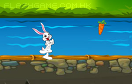 小白兔愛吃蘿蔔遊戲 / 小白兔愛吃蘿蔔 Game