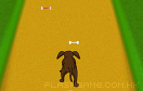 貪吃的狗狗遊戲 / Dog Dash Game