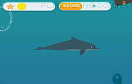 可愛海豚海底表演遊戲 / 可愛海豚海底表演 Game