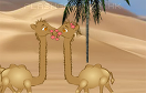 沙漠駱駝接吻遊戲 / 沙漠駱駝接吻 Game